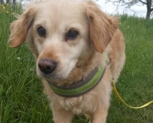 Bild 13